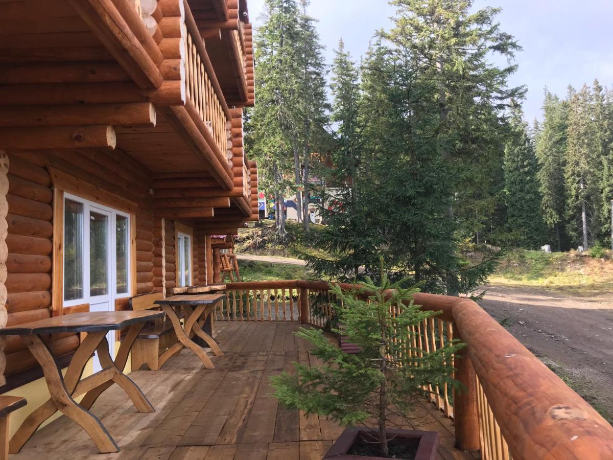 Alpin Eco Chalet & Wellness Dragobrat Luaran gambar