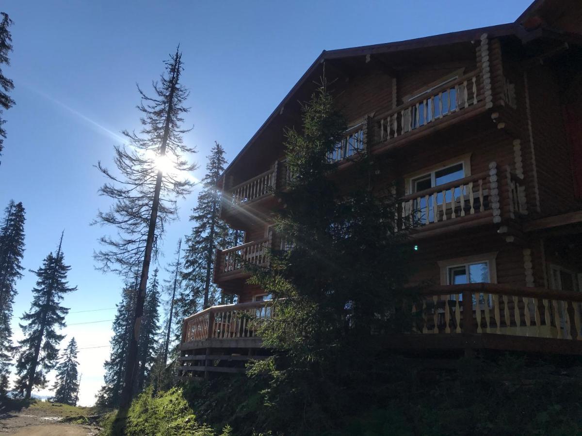 Alpin Eco Chalet & Wellness Dragobrat Luaran gambar