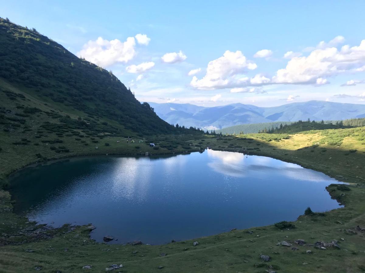 Alpin Eco Chalet & Wellness Dragobrat Luaran gambar