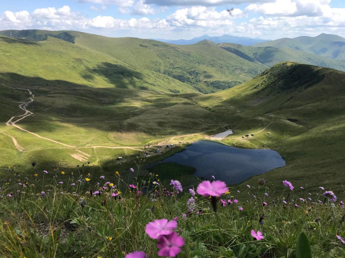 Alpin Eco Chalet & Wellness Dragobrat Luaran gambar