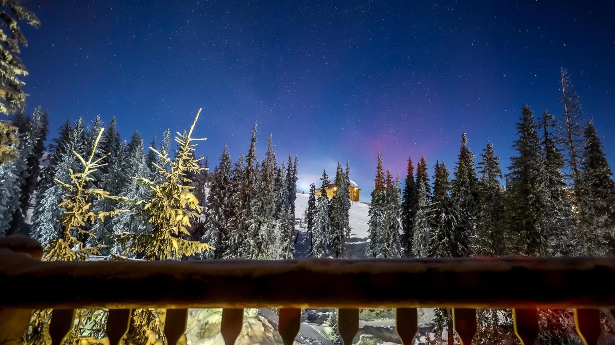 Alpin Eco Chalet & Wellness Dragobrat Luaran gambar